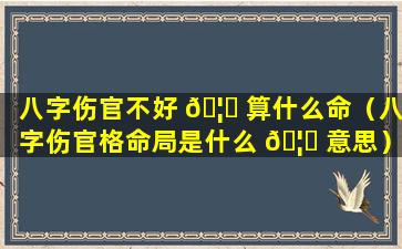 八字伤官不好 🦟 算什么命（八字伤官格命局是什么 🦟 意思）